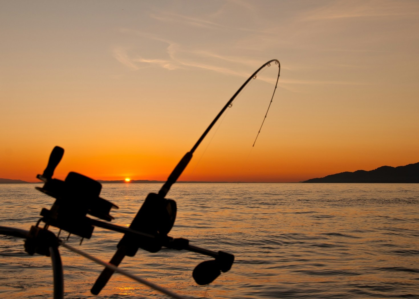 Upcoming Events at Stroud Angling Club